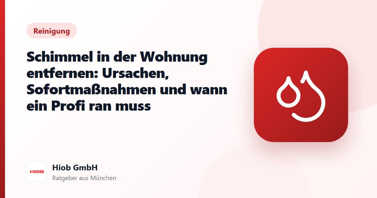 Titelbild zum Ratgeber: Schimmel in der Wohnung entfernen: Ursachen, Sofortmaßnahmen und wann ein Profi ran muss